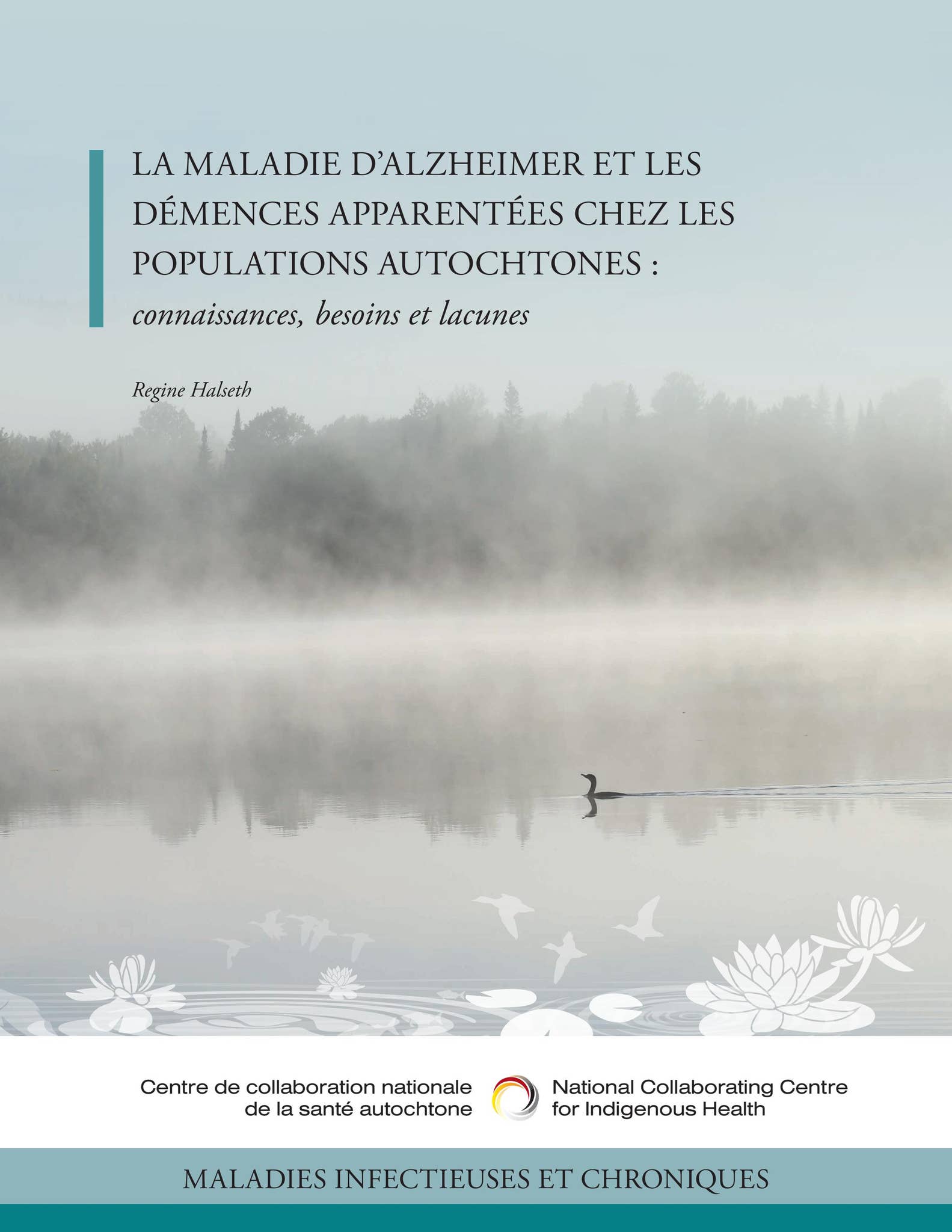 La maladie d’Alzheimer et les démences ... connaissances, besoins et ...
