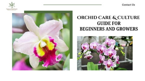 Orchid Care & Culture Guide for Beginners and Growers