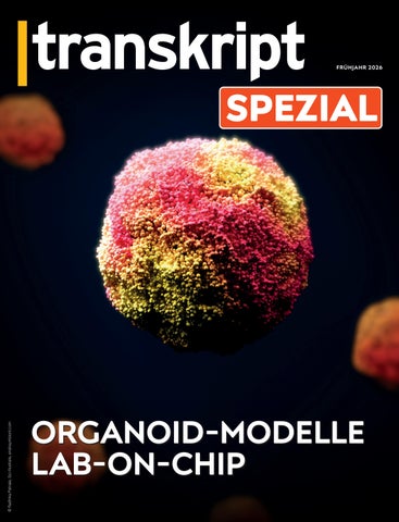 |transkript 1.2026_Spezial_Organoid