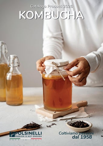 CATALOGO POLSINELLI 2026 KOMBUCHA IT