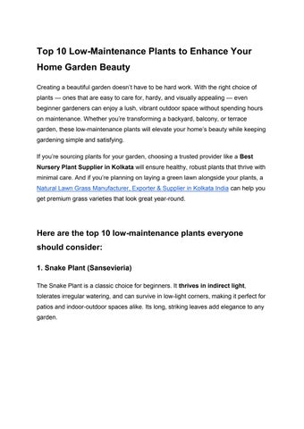Top 10 Low-Maintenance Plants to Enhance Your Home Garden Beauty