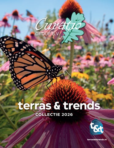 terras & trends collectie 2026 Curatio