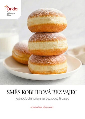 OFI ČESKO _ Koblihová směs