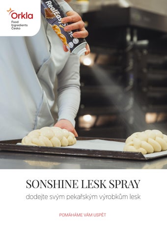 OFI ČESKO - Real Easy Shine Spray