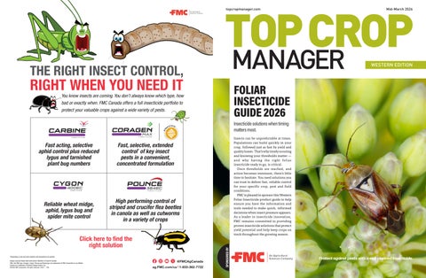 TCW-FOLIARINSECT-GUIDE26