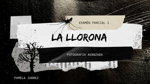 EXAMÈN PARCIAL 1_20260225_110023_0000