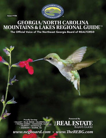 Georgia/North Carolina Mountains & Lakes Regional Guide™ - #106