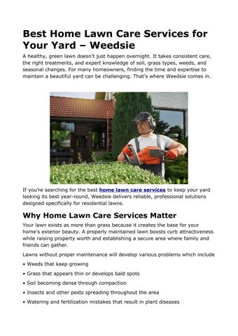 Best Home Lawn Care Services for Your Yard – Weedsie