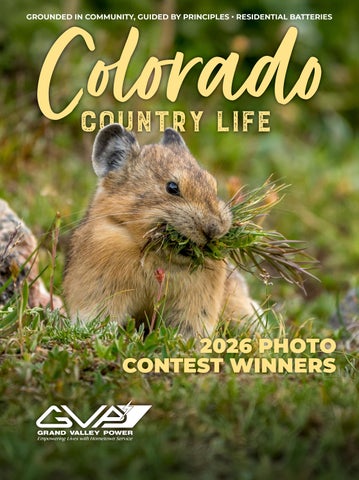 GVP Mar 2026 CCL Magazine