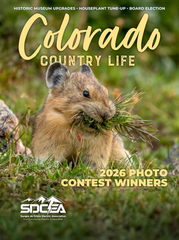 SDCEA Mar 2026 CCL Magazine