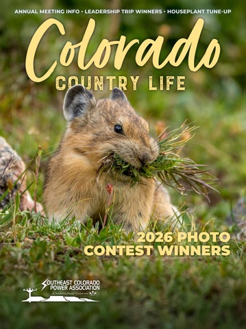 SECPA Mar 2026 CCL Magazine