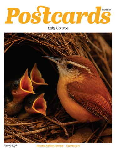 POSTCARDS MAGAZINE - Lake Conroe - MARCH 2026