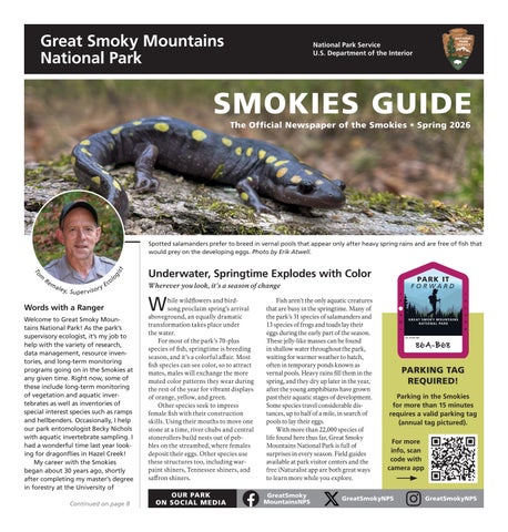 2026 Spring Smokies Guide Newspaper