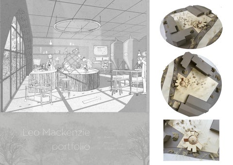 Leo Mackenzie Portfolio 