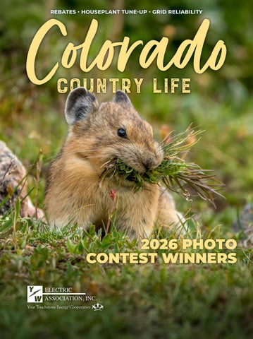 YW Mar 2026 CCL Magazine