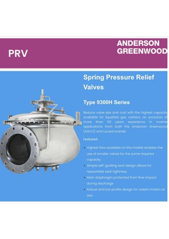Jual Safety Valve Anderson Greewood // sales@indoburner.com