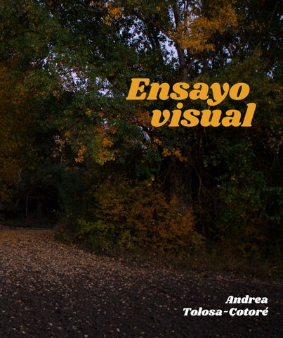 Ensayo visual - Parte I