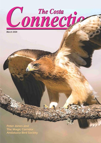 Costa Connection March 26