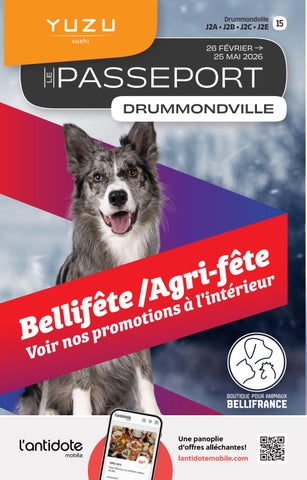 Passeport - Fevrier-Mars2026 [Lot 15]