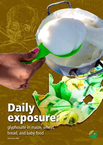 Daily exposure: glyphosate in maize, wheat, bread, and baby food