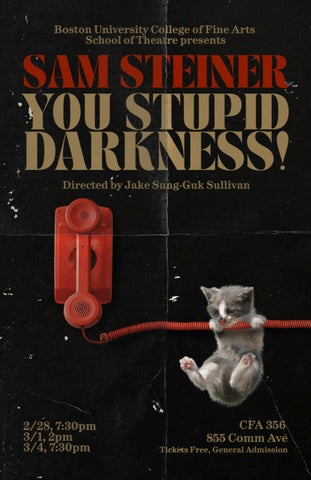 You Stupid Darkness! | Boston University School of Theatre Program