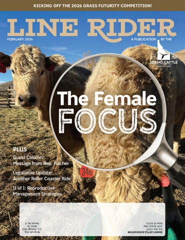 February 2026 Line Rider