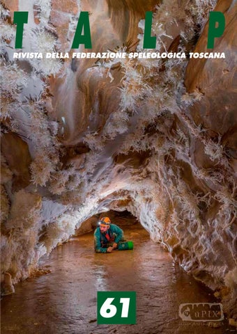 TALP 61