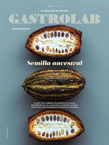 GASTROLAB 27 FEBRERO 2026