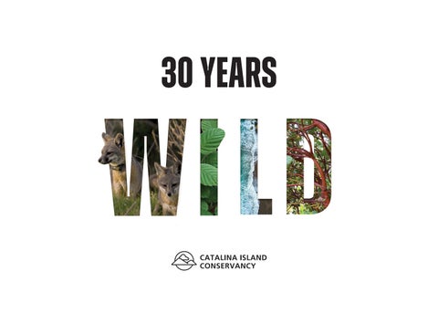 2026 Catalina Island Conservancy Ball Invitation