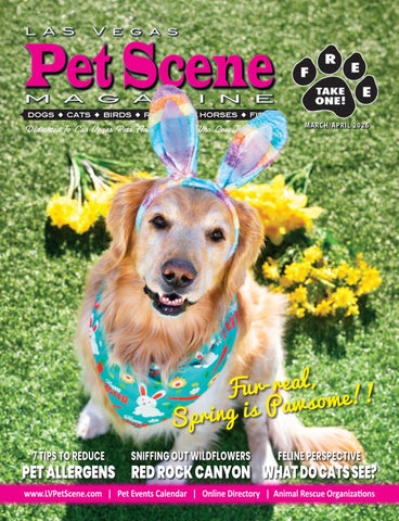 Las Vegas Pet Scene Magazine: March/April 2026