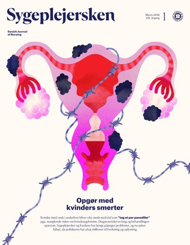 Sygeplejersken № 1, 2026