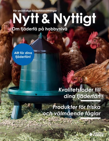 Nytt & Nyttigt om Hobbyhöns