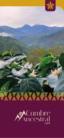 Brochure Cumbre Ancestral Cafe