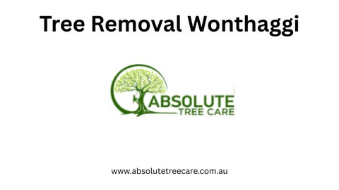 Tree Removal Wonthaggi