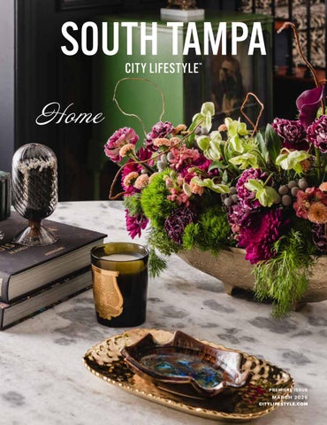 South Tampa, FL March 2026