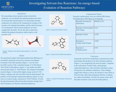 Christiana Paolillo - Student Research and Creativity Forum - Hofstra University