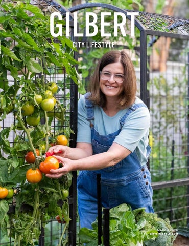 Gilbert, AZ March 2026