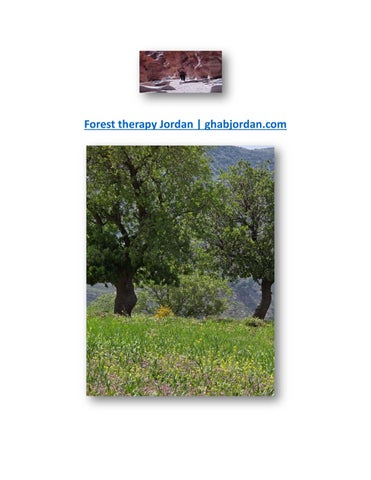 Forest therapy Jordan | ghabjordan.com