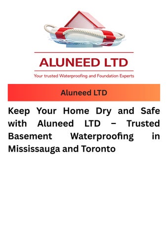 Aluneed LTD