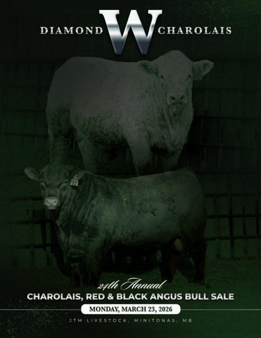 Diamond W Charolais, Red & Black Angus 24th Annual Bull Sale - JTM Livestock - Minitonas, MB