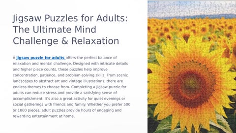 Jigsaw Puzzle for Adults	