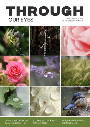 Through Our Eyes - Issue 1
