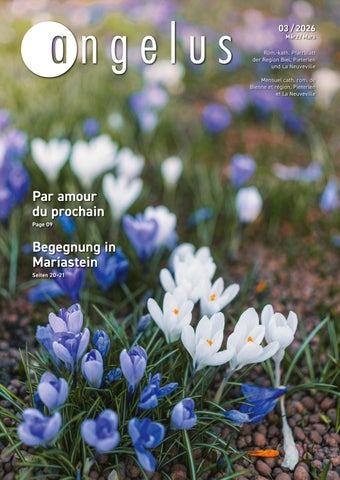 Angelus n° 03 / 2026