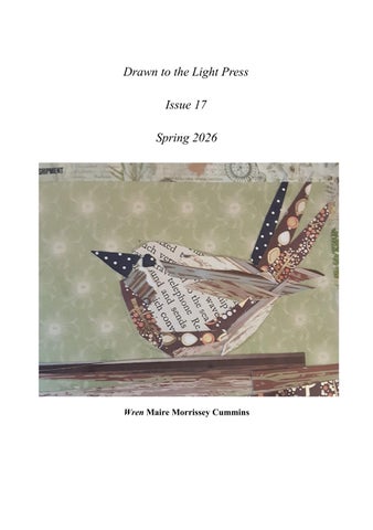 Issue 17 Spring 2026 