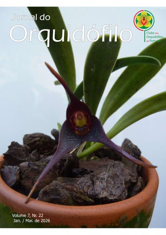 Jornal Orquidofilo 22 Jan Mar 2026