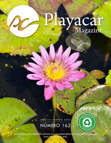 EDICIÓN MARZO #162 