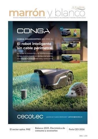 Marrón y Blanco 501