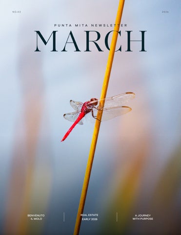 Punta Mita Newsletter Marzo 2026