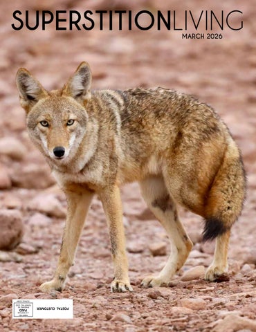 Superstition Living - March