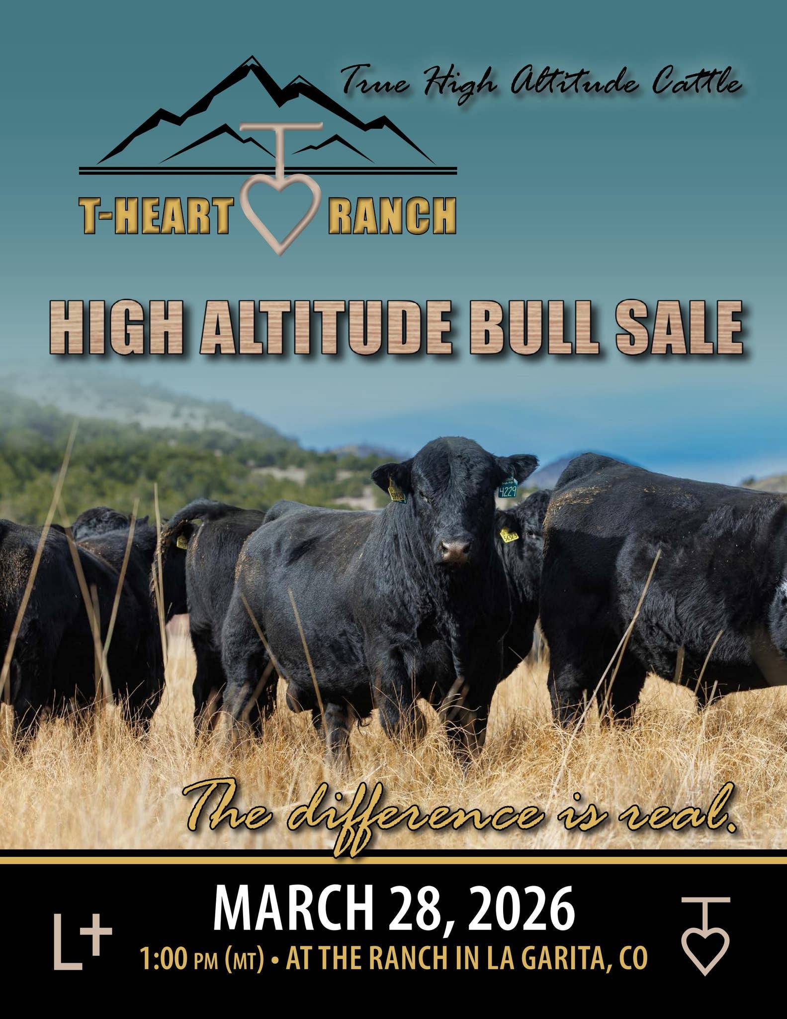 2026 T-Heart Ranch by Julie Murnin - Issuu